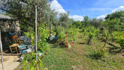 Terreno Agricola ou Rústico para Venda em Aldeia do Bispo, Águas e Aldeia de João Pires