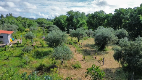 Terreno Agricola ou Rústico para Venda em Aldeia do Bispo, Águas e Aldeia de João Pires