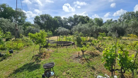 Terreno Agricola ou Rústico para Venda em Aldeia do Bispo, Águas e Aldeia de João Pires
