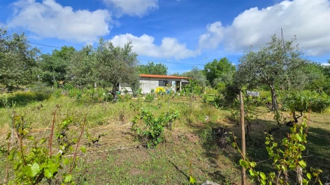 Terreno Agricola ou Rústico para Venda em Aldeia do Bispo, Águas e Aldeia de João Pires