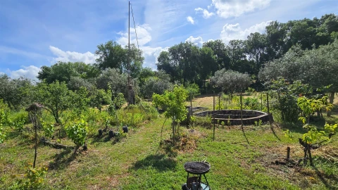 Terreno Agricola ou Rústico para Venda em Aldeia do Bispo, Águas e Aldeia de João Pires