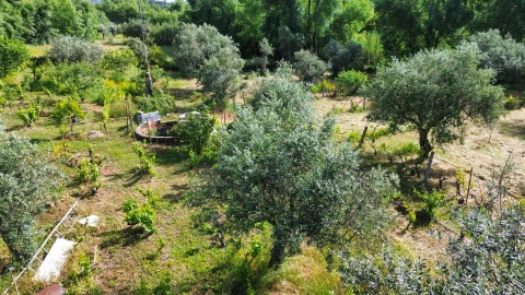 Terreno Agricola ou Rústico para Venda em Aldeia do Bispo, Águas e Aldeia de João Pires