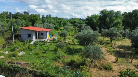 Terreno Agricola ou Rústico para Venda em Aldeia do Bispo, Águas e Aldeia de João Pires