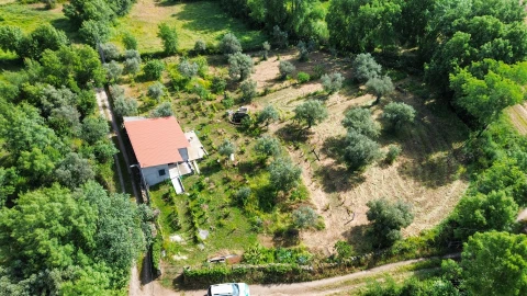 Terreno Agricola ou Rústico para Venda em Aldeia do Bispo, Águas e Aldeia de João Pires