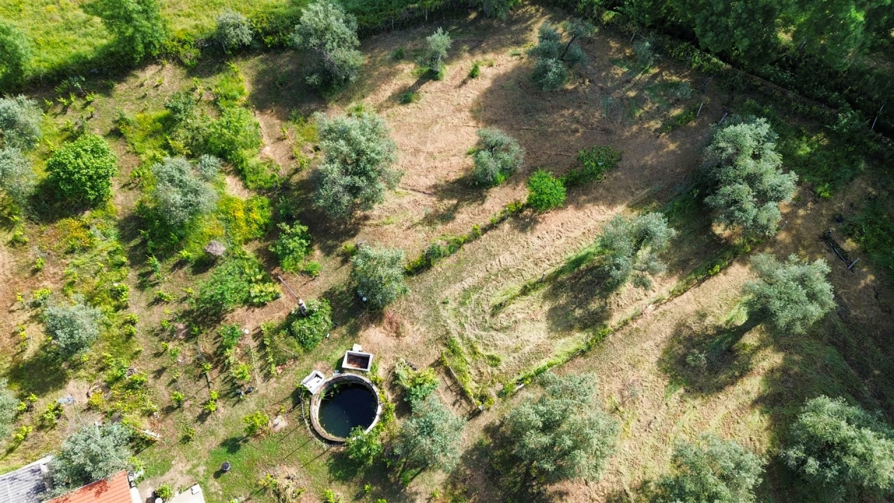 Terreno Agricola ou Rústico para Venda em Aldeia do Bispo, Águas e Aldeia de João Pires Foto 66