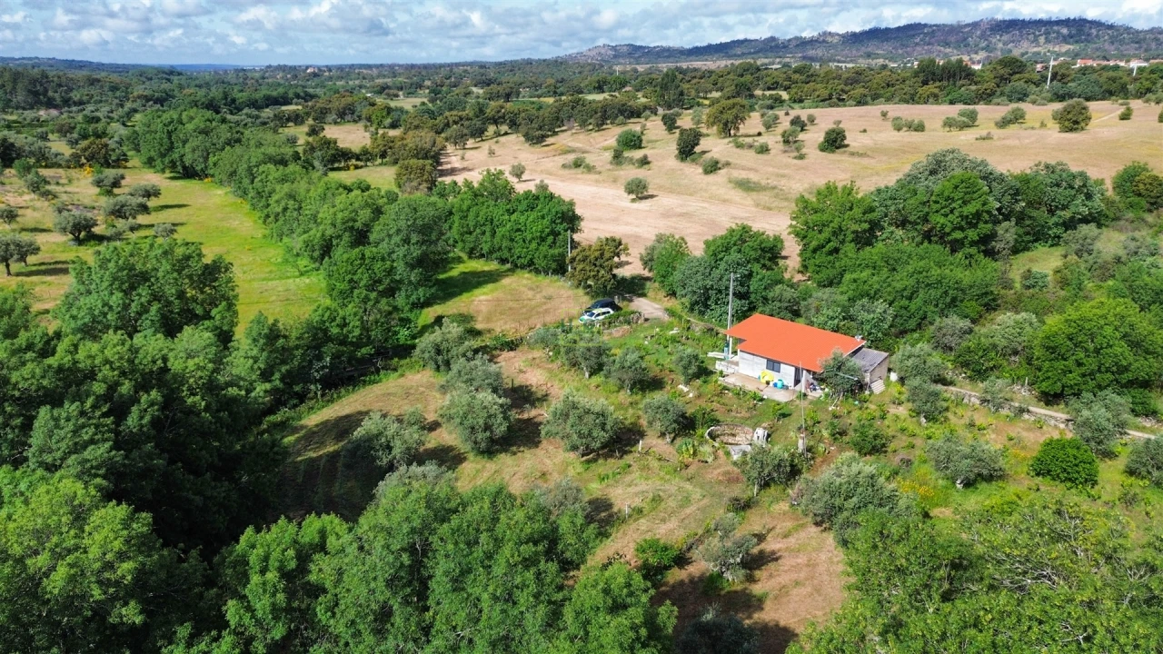 Terreno Agricola ou Rústico para Venda em Aldeia do Bispo, Águas e Aldeia de João Pires Foto 60