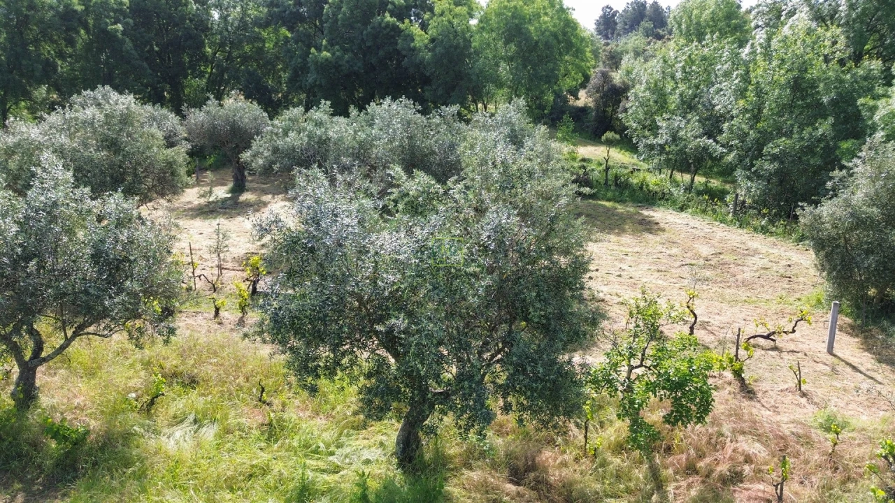 Terreno Agricola ou Rústico para Venda em Aldeia do Bispo, Águas e Aldeia de João Pires Foto 46