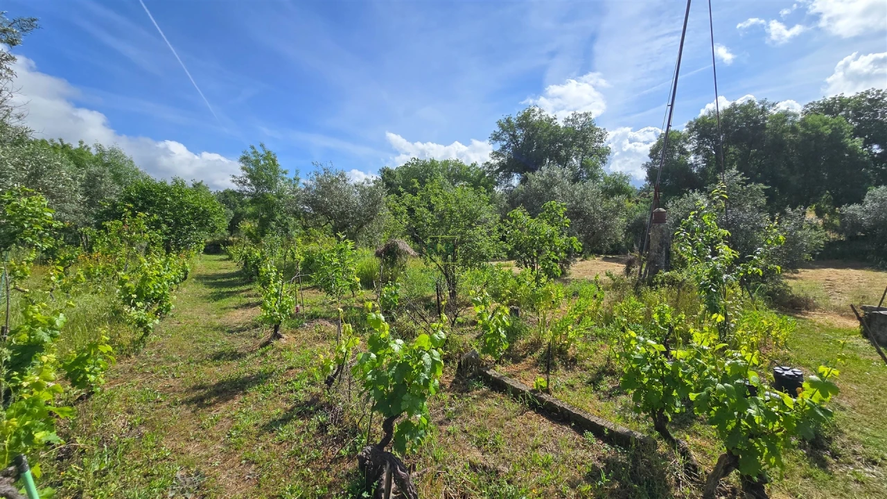 Terreno Agricola ou Rústico para Venda em Aldeia do Bispo, Águas e Aldeia de João Pires Foto 41