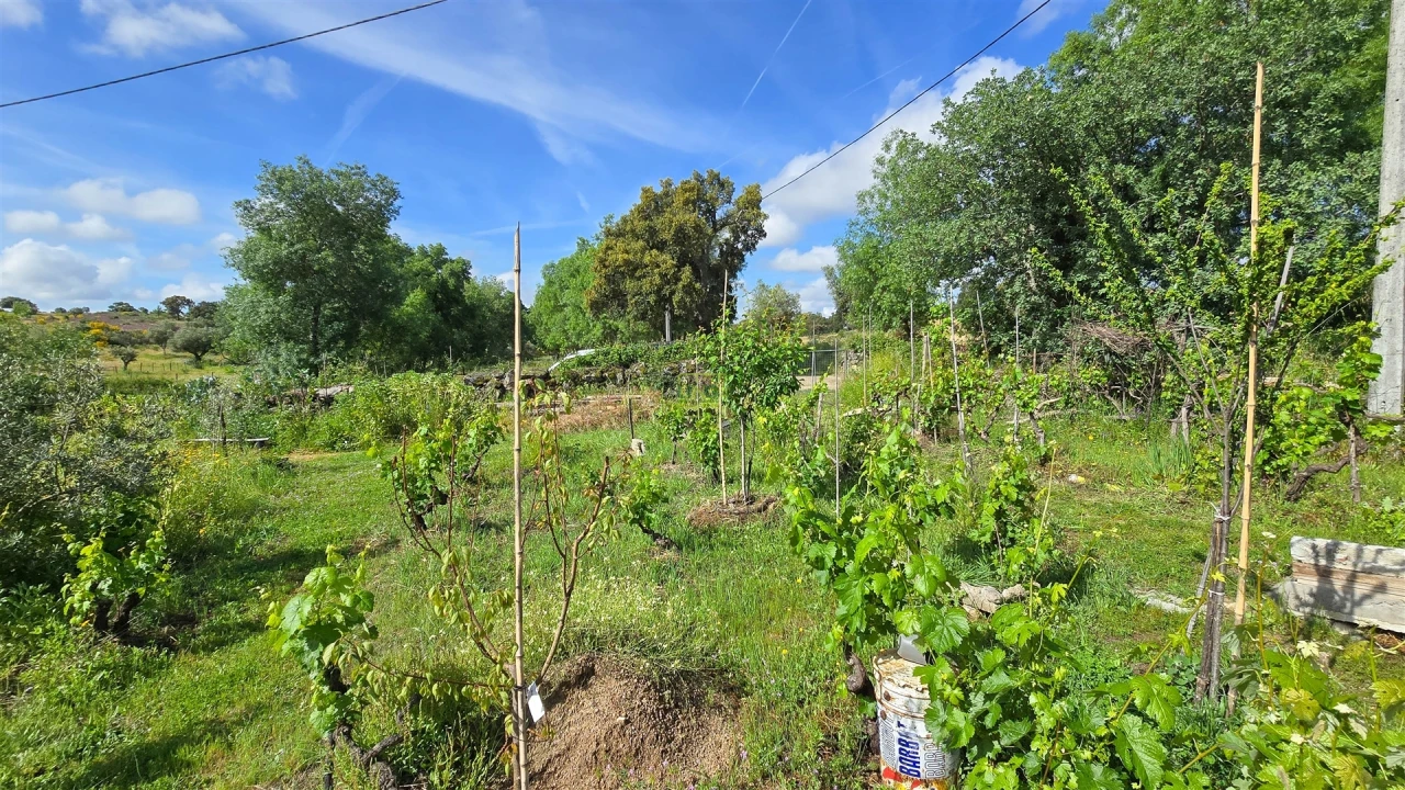 Terreno Agricola ou Rústico para Venda em Aldeia do Bispo, Águas e Aldeia de João Pires Foto 32