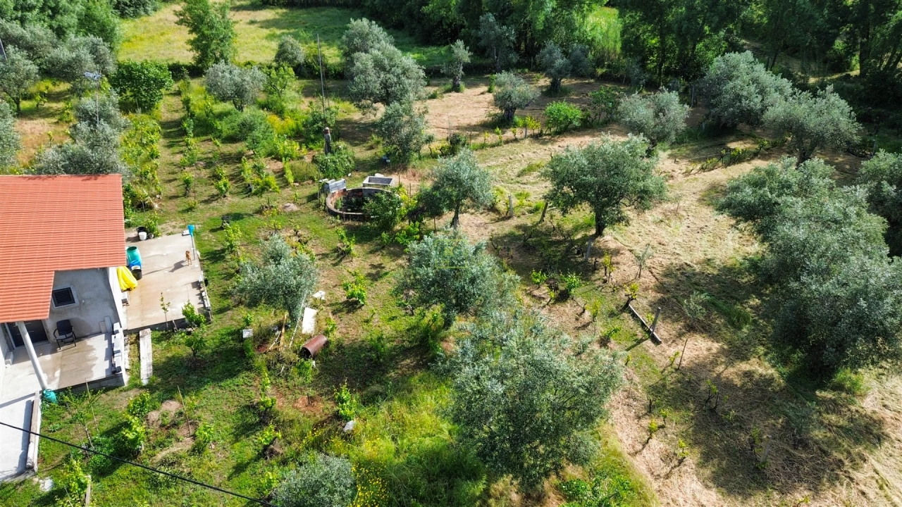 Terreno Agricola ou Rústico para Venda em Aldeia do Bispo, Águas e Aldeia de João Pires Foto 65