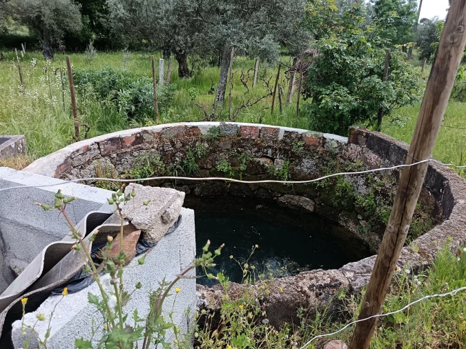 Terreno Agricola ou Rústico para Venda em Aldeia do Bispo, Águas e Aldeia de João Pires Foto 3