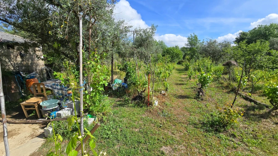 Terreno Agricola ou Rústico para Venda em Aldeia do Bispo, Águas e Aldeia de João Pires Foto 27