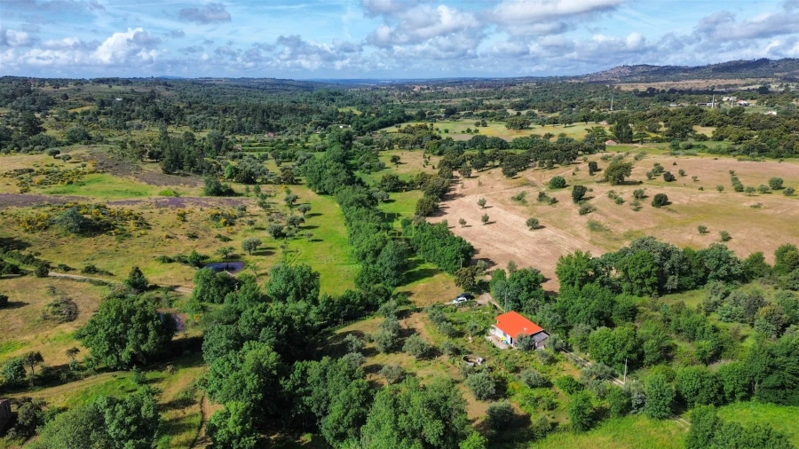 Terreno Agricola ou Rústico para Venda em Aldeia do Bispo, Águas e Aldeia de João Pires Foto 57