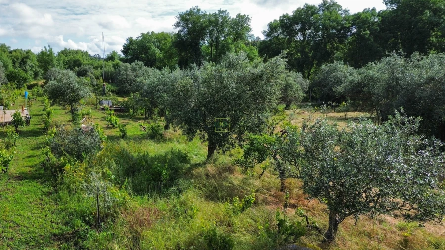 Terreno Agricola ou Rústico para Venda em Aldeia do Bispo, Águas e Aldeia de João Pires Foto 64