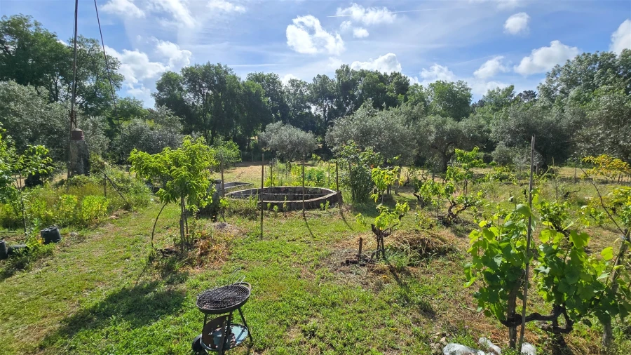 Terreno Agricola ou Rústico para Venda em Aldeia do Bispo, Águas e Aldeia de João Pires Foto 28