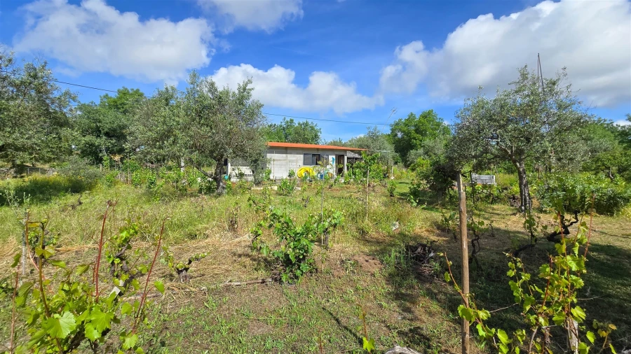 Terreno Agricola ou Rústico para Venda em Aldeia do Bispo, Águas e Aldeia de João Pires Foto 38