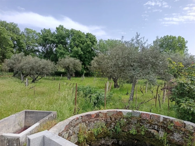 Terreno Agricola ou Rústico para Venda em Aldeia do Bispo, Águas e Aldeia de João Pires Foto 4