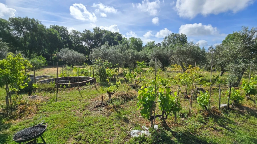 Terreno Agricola ou Rústico para Venda em Aldeia do Bispo, Águas e Aldeia de João Pires Foto 29