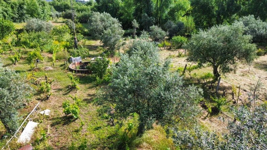 Terreno Agricola ou Rústico para Venda em Aldeia do Bispo, Águas e Aldeia de João Pires Foto 69