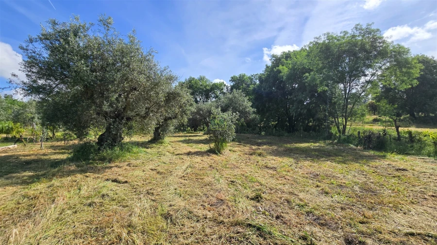 Terreno Agricola ou Rústico para Venda em Aldeia do Bispo, Águas e Aldeia de João Pires Foto 37