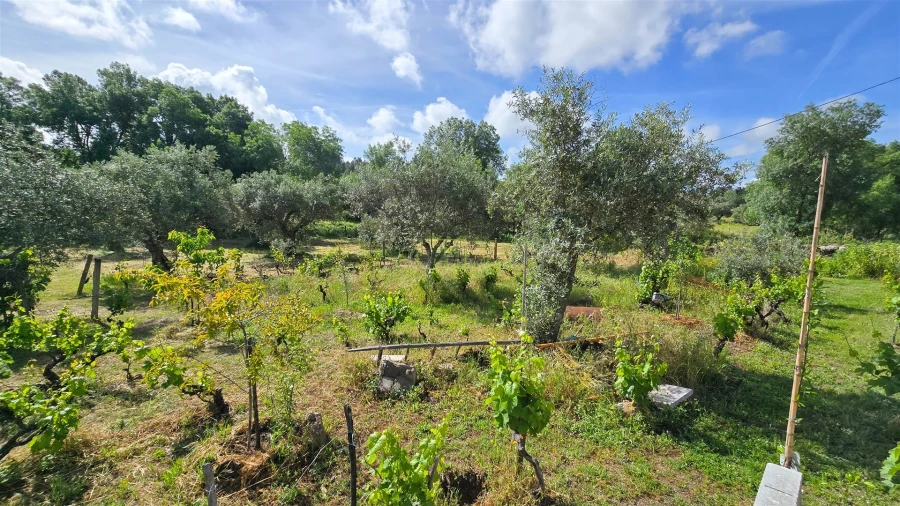 Terreno Agricola ou Rústico para Venda em Aldeia do Bispo, Águas e Aldeia de João Pires Foto 31