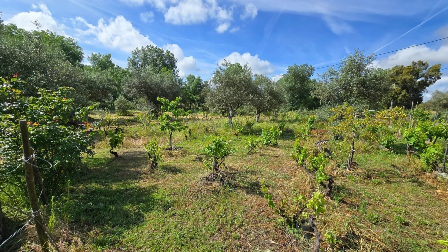 Terreno Agricola ou Rústico para Venda em Aldeia do Bispo, Águas e Aldeia de João Pires Foto 43