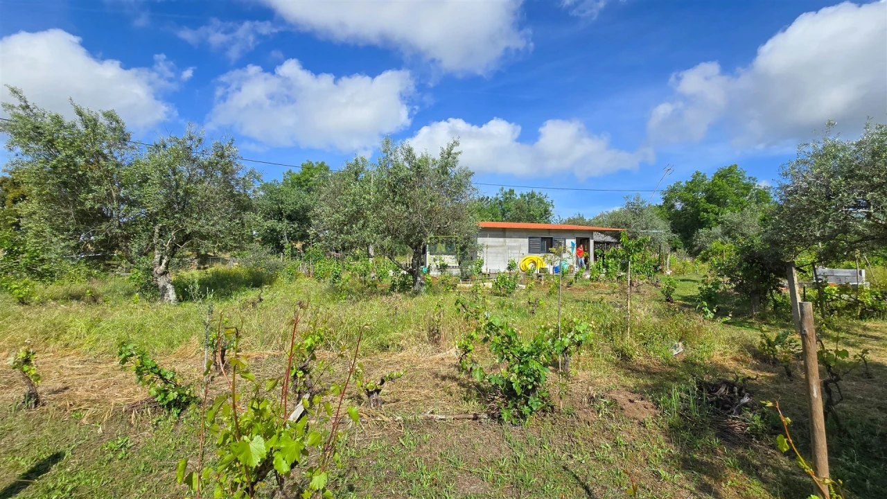 Terreno Agricola ou Rústico para Venda em Aldeia do Bispo, Águas e Aldeia de João Pires Foto 39