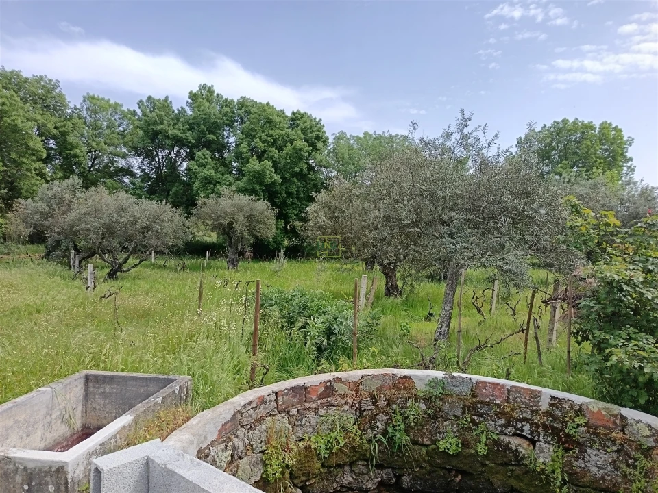 Terreno Agricola ou Rústico para Venda em Aldeia do Bispo, Águas e Aldeia de João Pires Foto 4