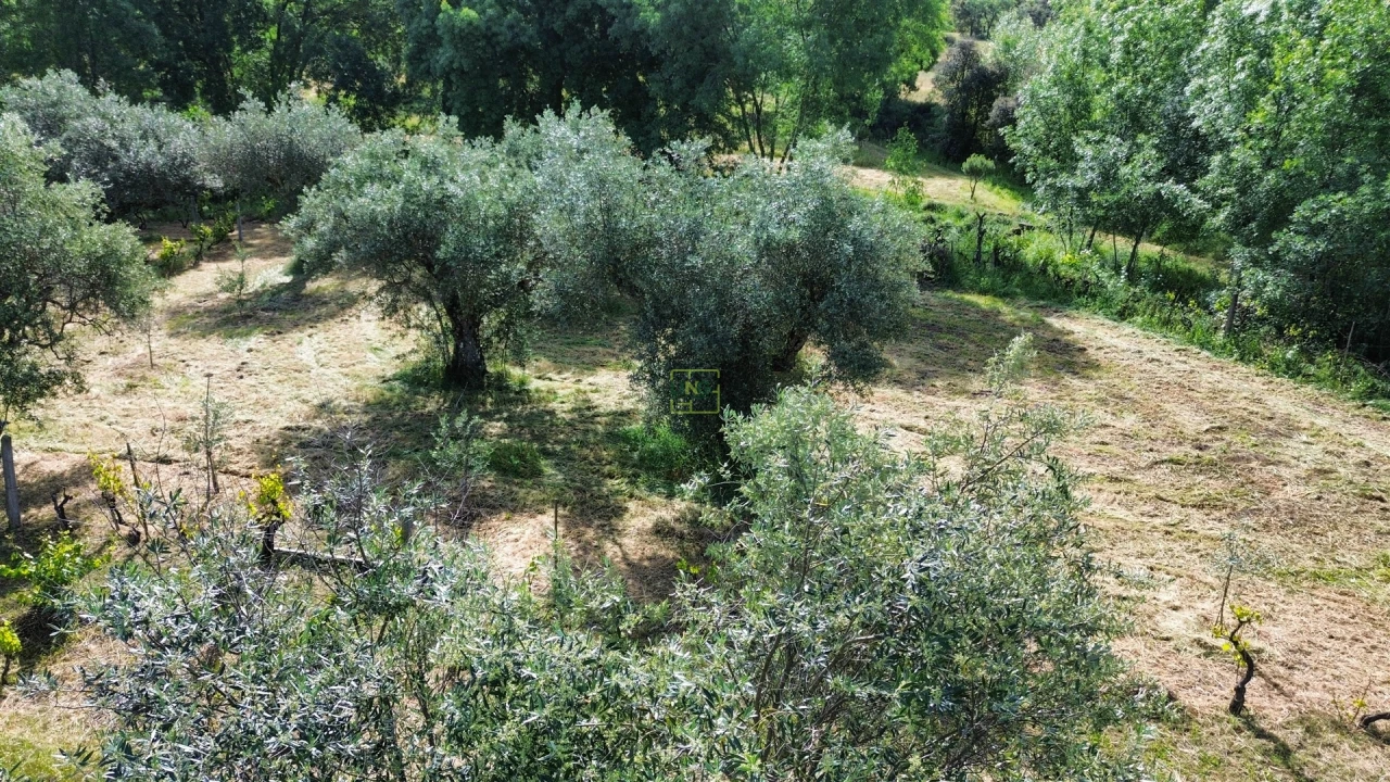 Terreno Agricola ou Rústico para Venda em Aldeia do Bispo, Águas e Aldeia de João Pires Foto 70
