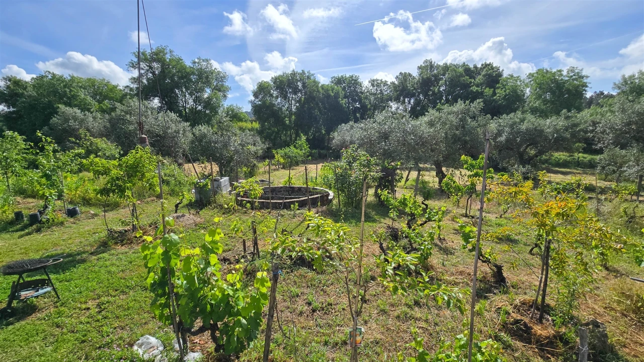 Terreno Agricola ou Rústico para Venda em Aldeia do Bispo, Águas e Aldeia de João Pires Foto 30
