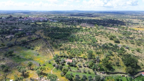 Terreno Agricola ou Rústico para Venda em Medelim