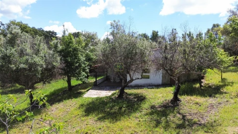 Terreno Agricola ou Rústico para Venda em Medelim
