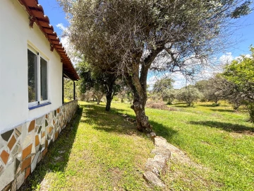 Terreno Agricola ou Rústico para Venda em Medelim