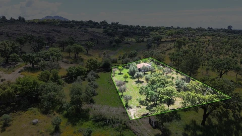 Terreno Agricola ou Rústico para Venda em Medelim