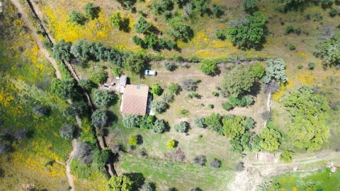 Terreno Agricola ou Rústico para Venda em Medelim