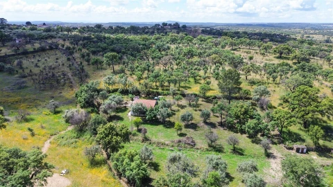 Terreno Agricola ou Rústico para Venda em Medelim