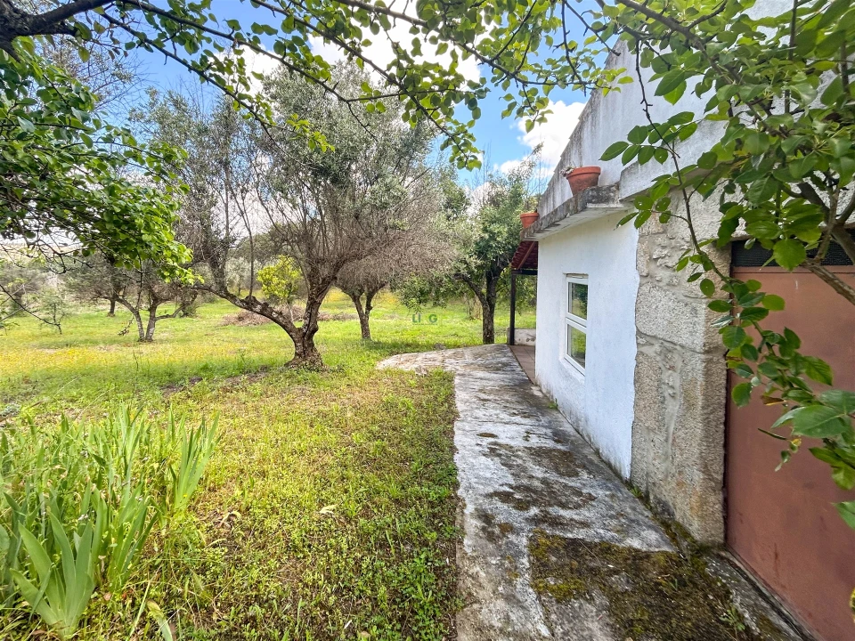 Terreno Agricola ou Rústico para Venda em Medelim Foto 28