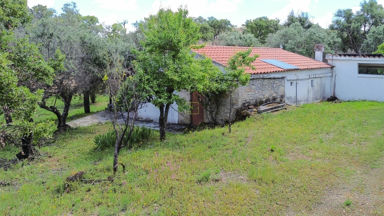 Terreno Agricola ou Rústico para Venda em Medelim Foto 73