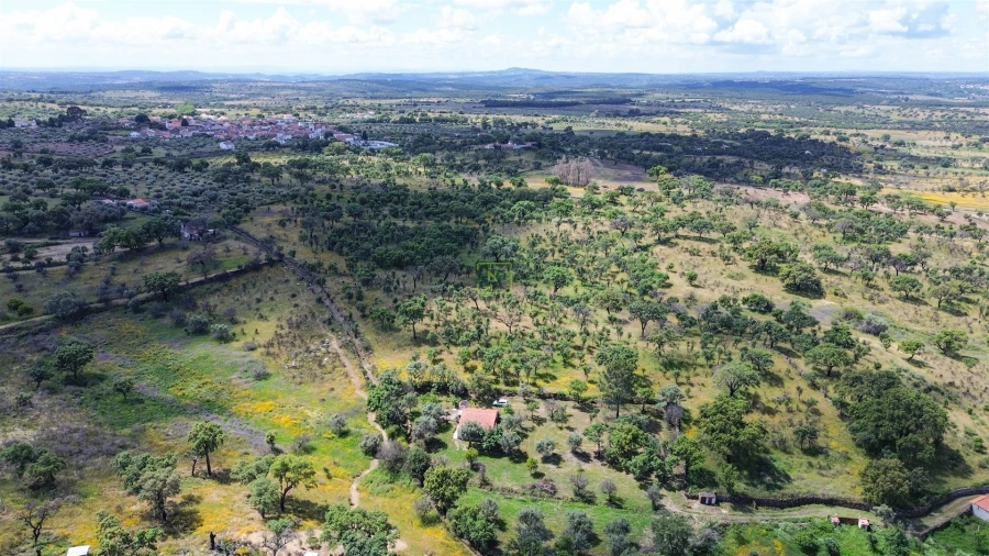 Terreno Agricola ou Rústico para Venda em Medelim Foto 52