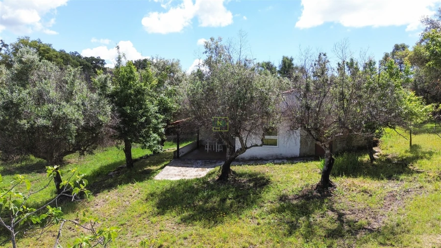 Terreno Agricola ou Rústico para Venda em Medelim Foto 61