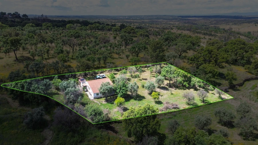 Terreno Agricola ou Rústico para Venda em Medelim Foto 57
