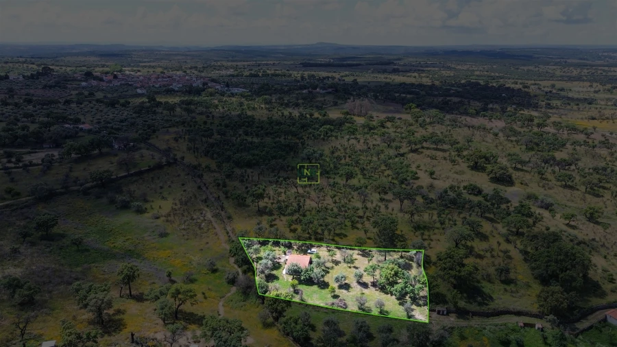 Terreno Agricola ou Rústico para Venda em Medelim Foto 53
