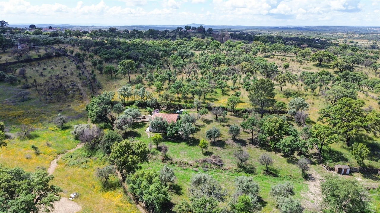 Terreno Agricola ou Rústico para Venda em Medelim Foto 54