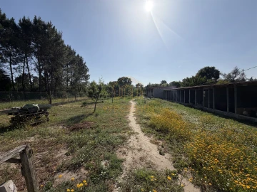 Moradia T5 para Venda em Cantanhede e Pocariça