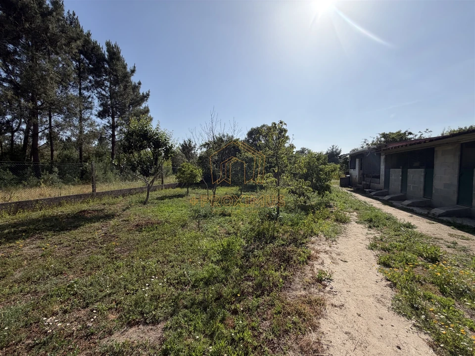 Moradia T5 para Venda em Cantanhede e Pocariça Foto 59