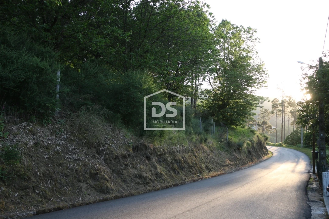 Terreno Agricola ou Rústico para Venda em Avões Foto 6