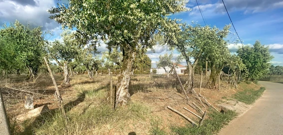 Terreno para Venda em Nossa Senhora da Conceição e São Bartolomeu