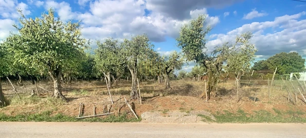 Terreno para Venda em Nossa Senhora da Conceição e São Bartolomeu