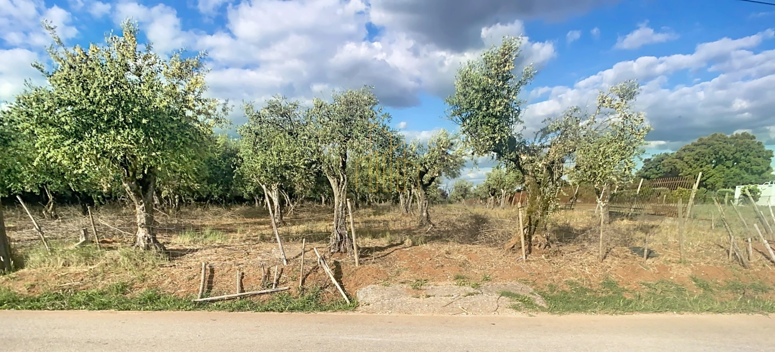 Terreno para Venda em Nossa Senhora da Conceição e São Bartolomeu Foto 1