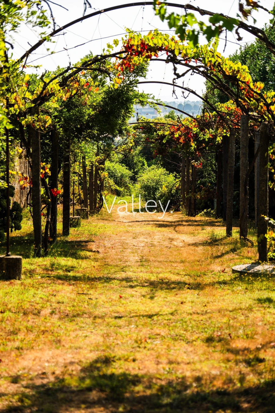 Quinta T6 para Venda em Gondifelos, Cavalões e Outiz Foto 19